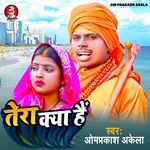 Tera Kya Hai