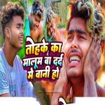 Tohke Ka Malum Ba Dard Me Bani Ho Re Pagli