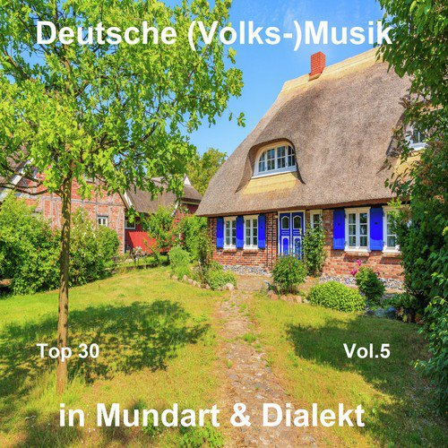 Top 30: Deutsche (Volks-)Musik in Mundart & Dialekt, Vol. 5