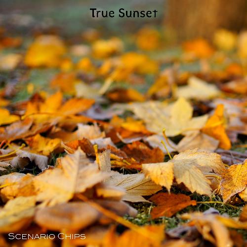 True Sunset_poster_image