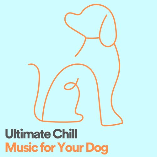 Ultimate Chill Music for Your Dog_poster_image