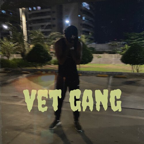 Vet Gang