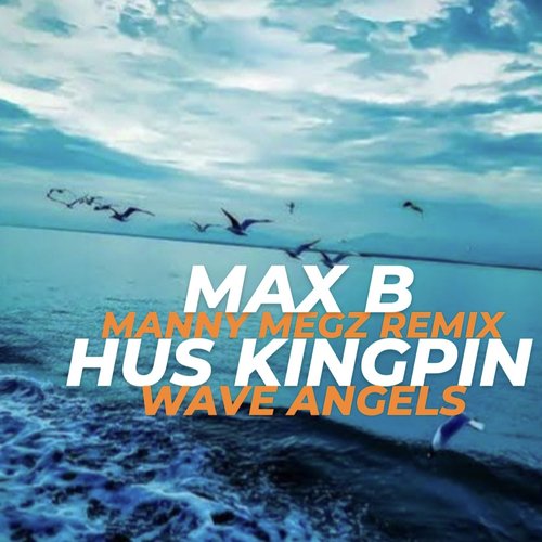 Wave Angels ((The Summer Remix))_poster_image