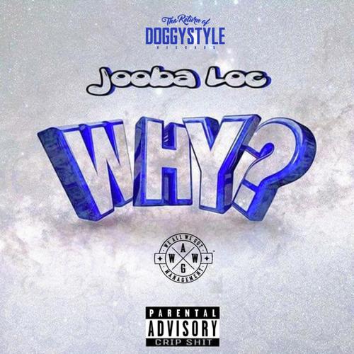 Why?_poster_image