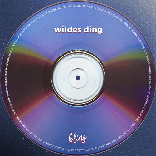 wildes ding_poster_image