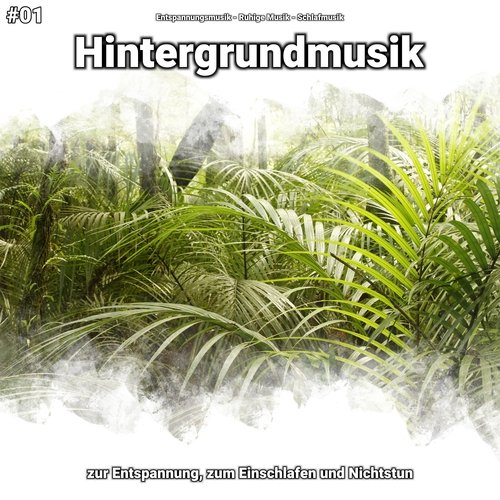 Hintergrundmusik, Pt. 12