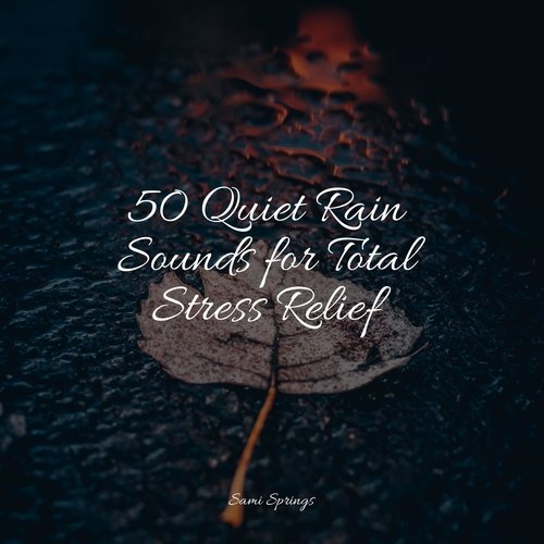 50 Quiet Rain Sounds for Total Stress Relief_poster_image