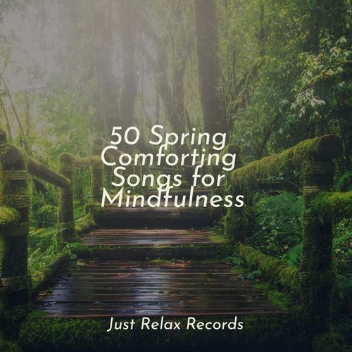 50 Spring Comforting Songs for Mindfulness