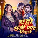 Aho Sakhi Kat Lihale