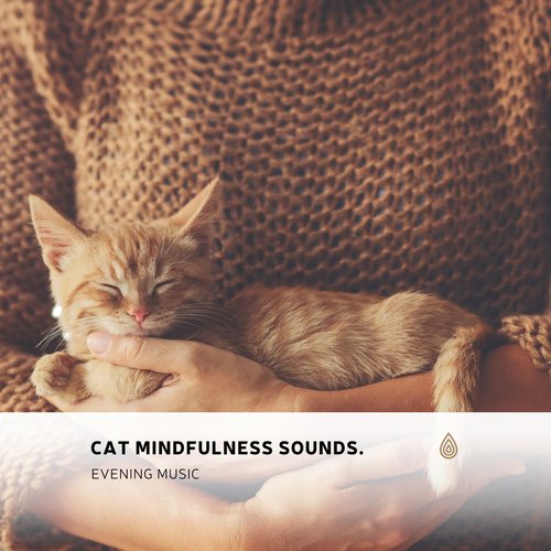 Cat Mindfulness Sounds. Evening Music