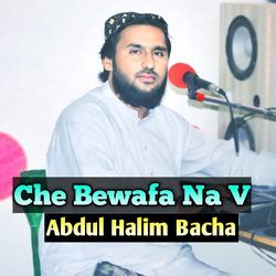 Che Bewafa Na V-HQcEX0EJUHY