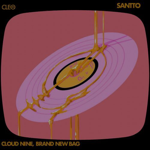 Brand New Bag