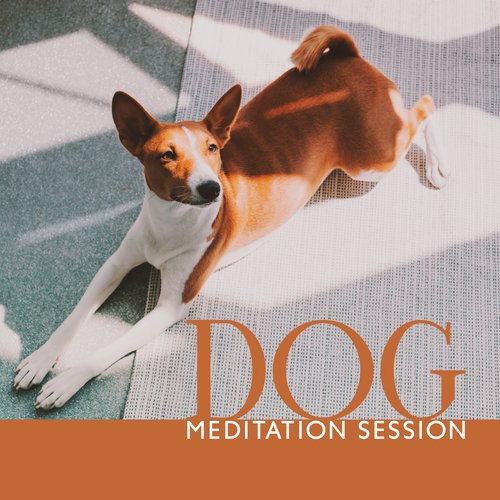 Dog Meditation Session: Calm Music for Dogs, Pet Relaxation, Dog Deep Sleep_poster_image