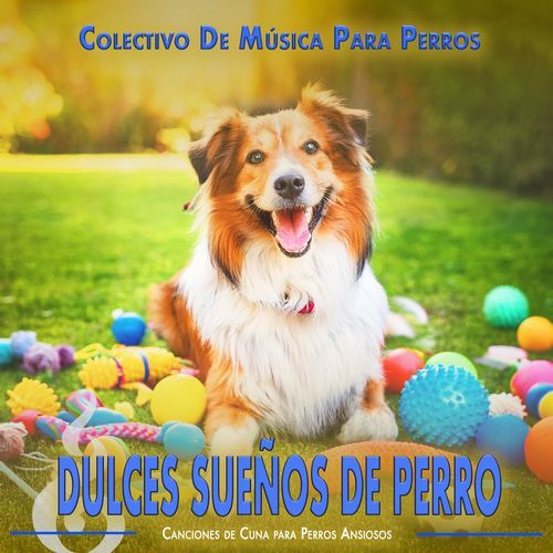 Perro Soñador de un Día