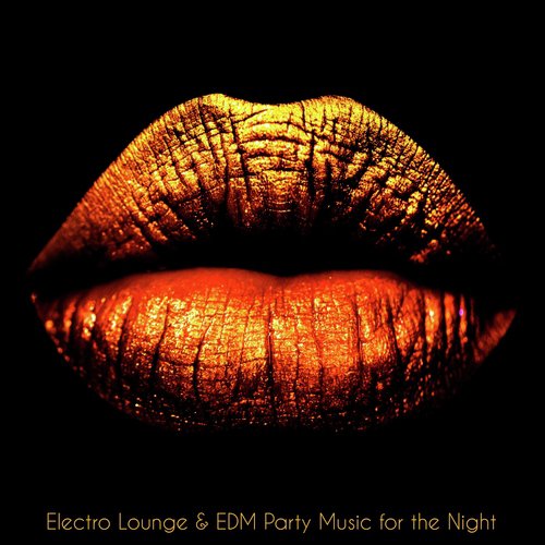 Electro Lounge - Sexy Dance Songs