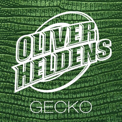 Gecko cover art