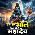 Har Har Bhole Har Har Mahadev artwork