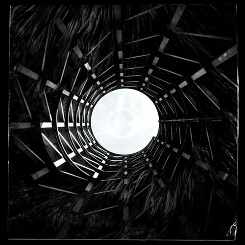 Suspendisse Pluvia cover art