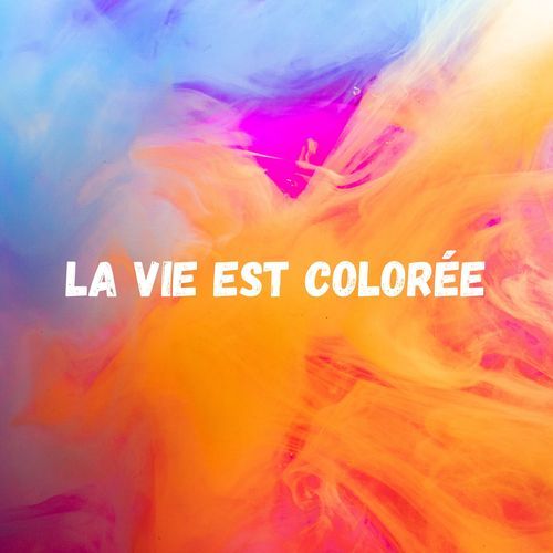 La Vie Est Colorée (feat. Djacoboy)