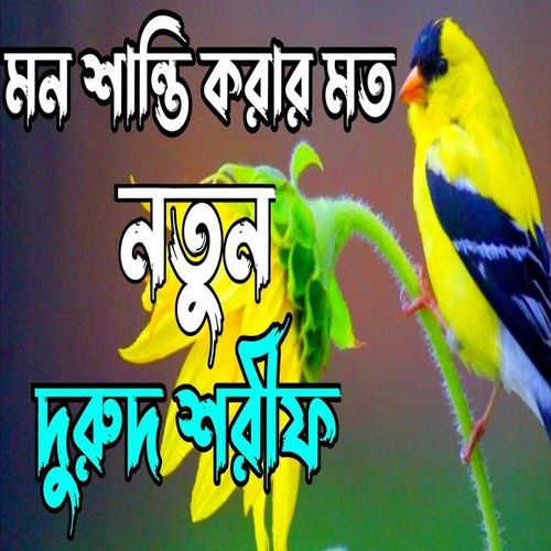 মন শান্তি করা নতুন জিকির