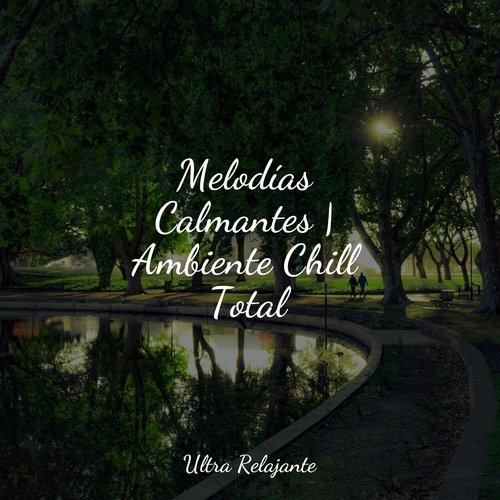 Sonido Relajante cover art