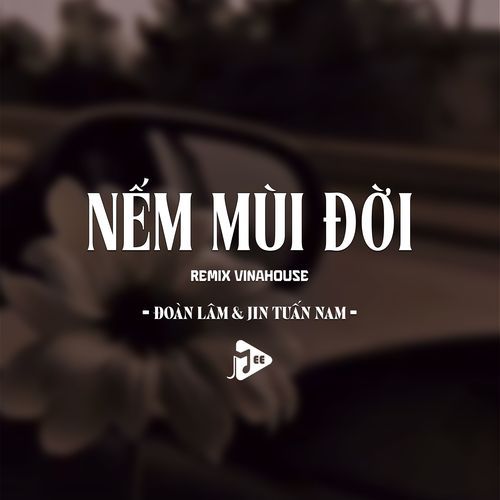 Nếm Mùi Đời (Remix Vinahouse) cover art