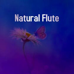 Natural Flute-KVAiVx55ex4