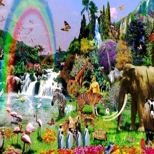Natureba cover art