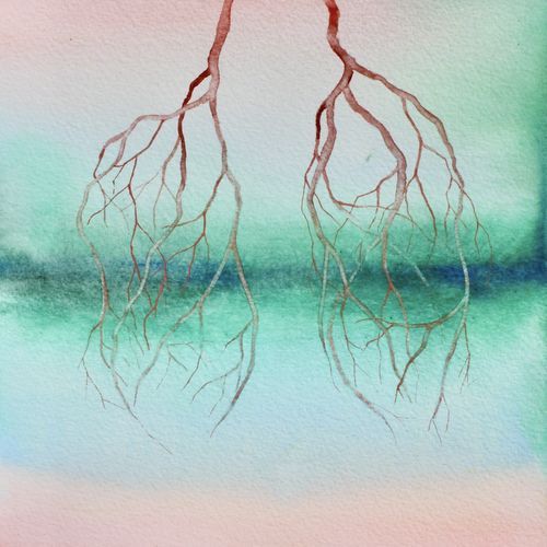 Nouse Luonto - Vaskilintu - EP