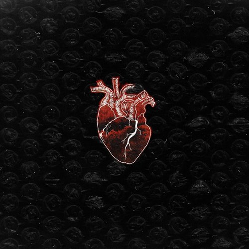 Nutro cover art