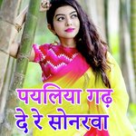 Payaliya Gadh De Re Sonarava
