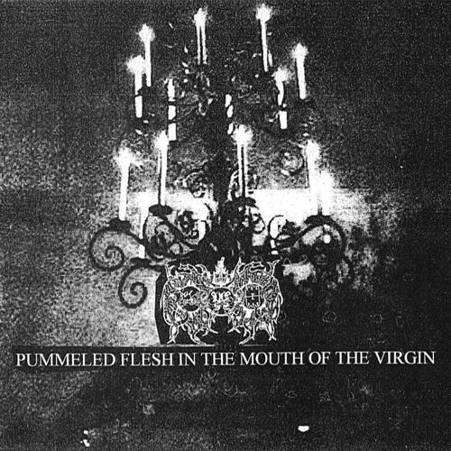 Pummeled Flesh in the Mouth of the Virgin cover art