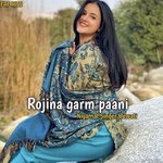 Rojina garm paani