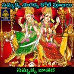 Samakka jathara (Sammakka Sarakka Koti Pujalu)