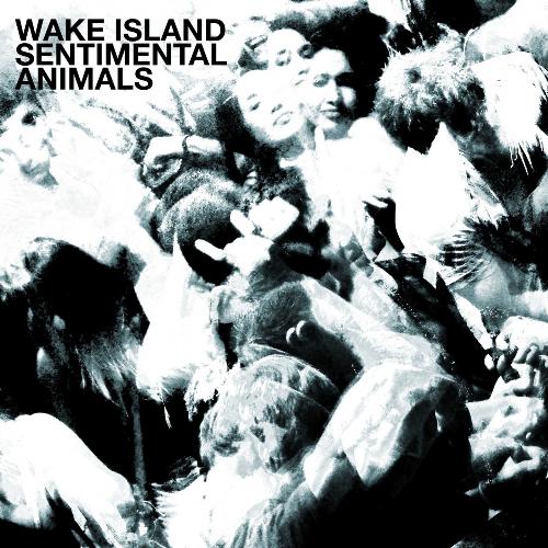 Sentimental Animal cover art