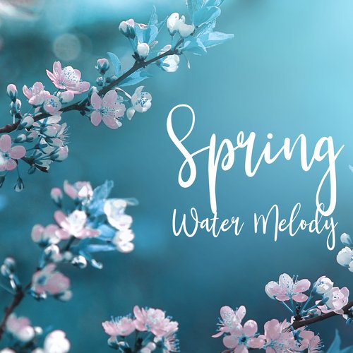 Spring Water Melody – Relaxing Waves Sounds to Study, Read and Meditate