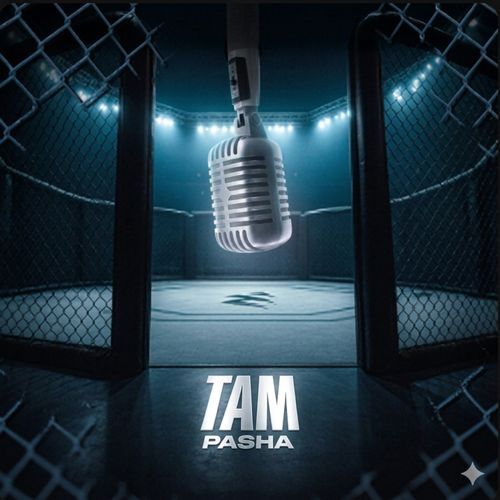 Tam Paşa