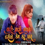 Tari Mari Vachma Dariyo Kem Karu Paar