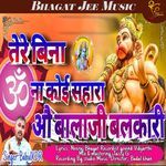 Tera Bina Na Koi Sahara Ohh Balaji Balkari