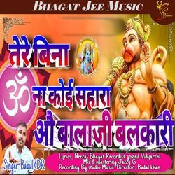 Tera Bina Na Koi Sahara Ohh Balaji Balkari