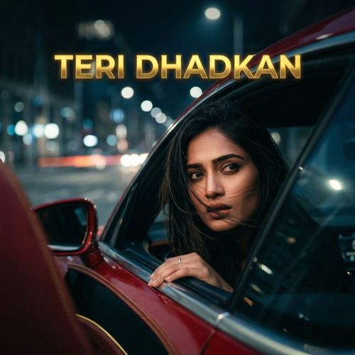 Teri Dhadkan