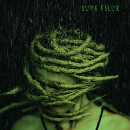 Talk 2 Slime cover art