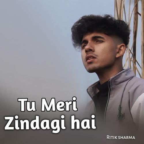 Tu Meri Zindagi hai