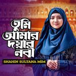 Tumi Amar Doyar Nobi