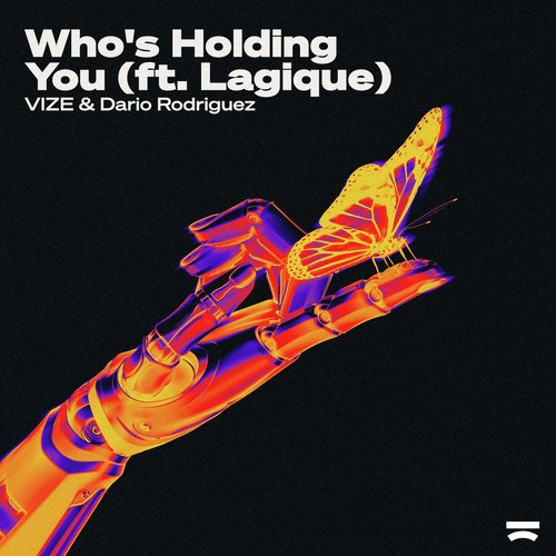 Who&#039;s Holding You_poster_image