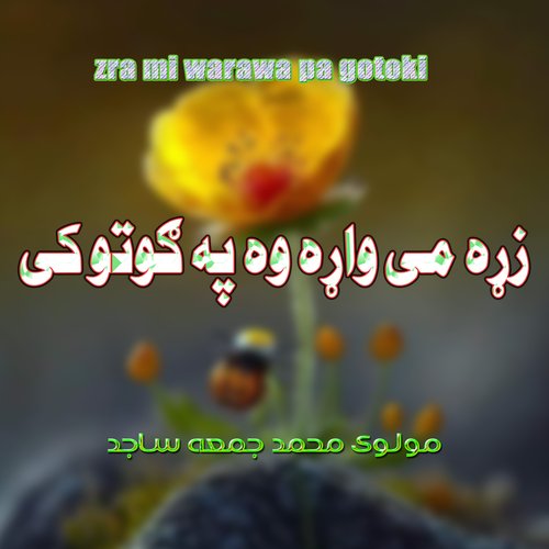Zrami Warawa Pagotoki