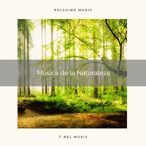 Sonidos de Pajaritos del la Selva para Dormir cover art