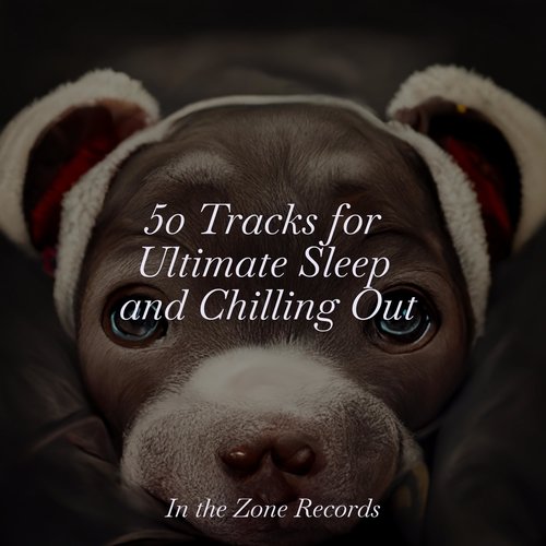 50 Tracks for Ultimate Sleep and Chilling Out_poster_image