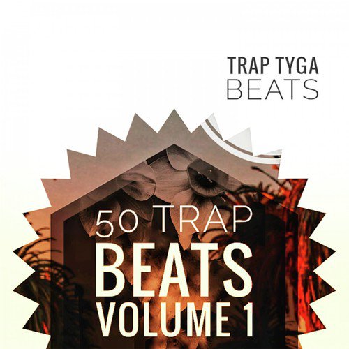 50 Trap Beats, Vol. 1