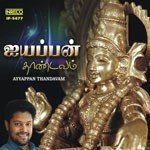 Pamba Nadhi